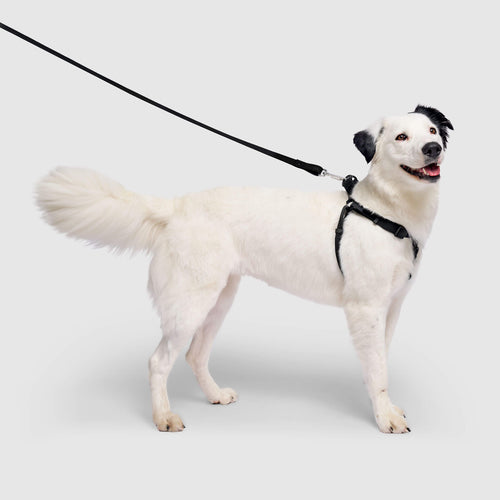 Waterproof Harness
